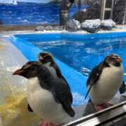 ヒメ日記 2026/02/16 00:18 投稿 佐久間こゆき 福井性感回春アロマSpa