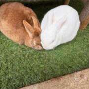 ヒメ日記 2026/03/13 00:03 投稿 佐久間こゆき 福井性感回春アロマSpa