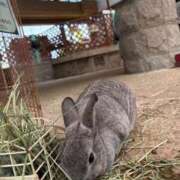 ヒメ日記 2026/03/20 00:03 投稿 佐久間こゆき 福井性感回春アロマSpa