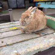 ヒメ日記 2026/03/22 15:03 投稿 佐久間こゆき 福井性感回春アロマSpa