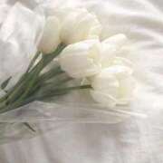 ヒメ日記 2025/10/27 04:11 投稿 心遥【コハル】 ピンクコレクション大阪