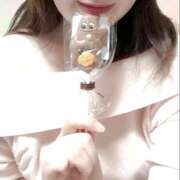 まゆの おはよう☀︎ 花影（かえい）