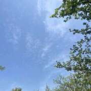 まりさ 🍃お休みのお知らせ🍃 京都出張メンズエステChou Chou（シュシュ)