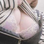 ひなた 出勤してるよ～ฅ^•ω•^ฅ︎💕︎ 丸妻 横浜本店