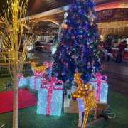 ヒメ日記 2025/12/01 21:50 投稿 高嶺 玲奈 人妻セレブ宮殿