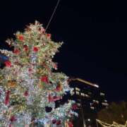 ヒメ日記 2025/12/06 23:46 投稿 高嶺 玲奈 人妻セレブ宮殿