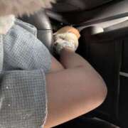 ヒメ日記 2026/02/02 12:41 投稿 高嶺 玲奈 人妻セレブ宮殿