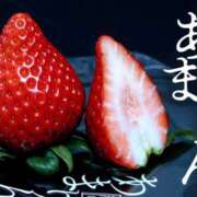 ヒメ日記 2025/10/23 12:00 投稿 紗都/さと 五反田アネージュ（ユメオト）