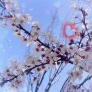 ヒメ日記 2026/03/09 17:27 投稿 紗都/さと 五反田アネージュ（ユメオト）