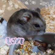 ヒメ日記 2025/10/26 16:42 投稿 まひろ☆ 豊橋豊川ちゃんこ