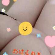 ヒメ日記 2025/11/15 09:50 投稿 まひろ☆ 豊橋豊川ちゃんこ