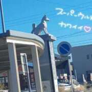 ヒメ日記 2025/12/15 21:22 投稿 まひろ☆ 豊橋豊川ちゃんこ