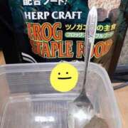 ヒメ日記 2025/12/24 21:42 投稿 まひろ☆ 豊橋豊川ちゃんこ