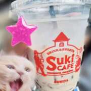 ヒメ日記 2025/12/30 13:54 投稿 まひろ☆ 豊橋豊川ちゃんこ