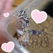 ヒメ日記 2026/01/02 20:32 投稿 まひろ☆ 豊橋豊川ちゃんこ