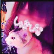 ヒメ日記 2026/02/03 12:22 投稿 まひろ☆ 豊橋豊川ちゃんこ