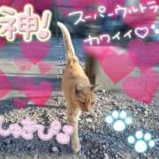 ヒメ日記 2026/02/14 10:52 投稿 まひろ☆ 豊橋豊川ちゃんこ