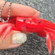 ヒメ日記 2026/04/01 12:28 投稿 まひろ☆ 豊橋豊川ちゃんこ