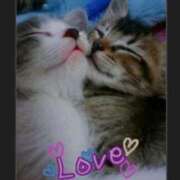 ヒメ日記 2026/04/24 10:32 投稿 まひろ☆ 豊橋豊川ちゃんこ