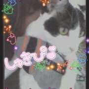 ヒメ日記 2026/04/26 22:02 投稿 まひろ☆ 豊橋豊川ちゃんこ