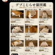 ヒメ日記 2026/05/27 17:22 投稿 まひろ☆ 豊橋豊川ちゃんこ
