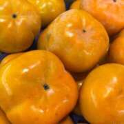 ヒメ日記 2025/10/31 15:13 投稿 樋口 可南子 熟女・人妻マダム宮殿