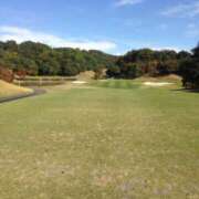 ヒメ日記 2025/11/05 17:30 投稿 樋口 可南子 熟女・人妻マダム宮殿