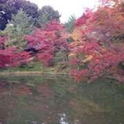 ヒメ日記 2025/11/14 17:11 投稿 樋口 可南子 熟女・人妻マダム宮殿