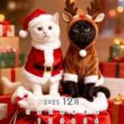 樋口 可南子 今月もよろしくお願いします(❁ᴗ͈ˬᴗ͈) 熟女・人妻マダム宮殿