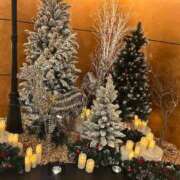 樋口 可南子 　　　　　　　　🧸 熟女・人妻マダム宮殿