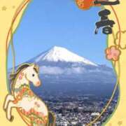 樋口 可南子 今年もよろしくお願いします🙇‍♀ 熟女・人妻マダム宮殿