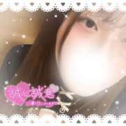 ヒメ日記 2026/03/12 11:56 投稿 青葉　なつめ スタイリッシュ秘書