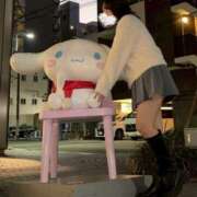 ヒメ日記 2025/12/05 17:26 投稿 りょうか ホワイトハウス