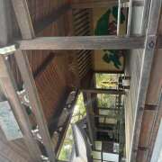 ヒメ日記 2025/11/02 01:34 投稿 さき みつばちマーヤZ