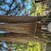 ヒメ日記 2025/11/07 18:37 投稿 さき みつばちマーヤZ