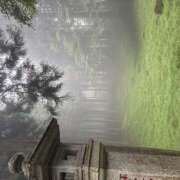 さき いまし みつばちマーヤZ