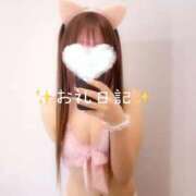 ヒメ日記 2025/12/08 08:36 投稿 【S】もえ E+品川店