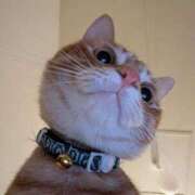 ヒメ日記 2025/10/30 00:33 投稿 こと 大高・大府市・東海市ちゃんこ