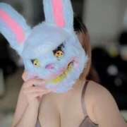 ヒメ日記 2025/10/31 15:03 投稿 こと 大高・大府市・東海市ちゃんこ