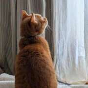 ヒメ日記 2025/11/01 13:53 投稿 こと 大高・大府市・東海市ちゃんこ