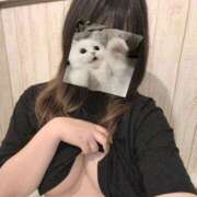 ヒメ日記 2025/11/03 13:03 投稿 こと 大高・大府市・東海市ちゃんこ