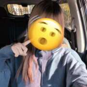 ヒメ日記 2025/11/03 14:43 投稿 こと 大高・大府市・東海市ちゃんこ