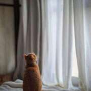 ヒメ日記 2025/11/09 00:43 投稿 こと 大高・大府市・東海市ちゃんこ