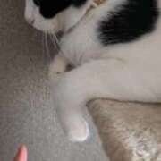 ヒメ日記 2025/11/17 00:53 投稿 こと 大高・大府市・東海市ちゃんこ