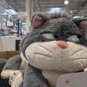 ヒメ日記 2025/11/22 17:03 投稿 こと 大高・大府市・東海市ちゃんこ