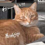 こと 完売御礼🩷 大高・大府市・東海市ちゃんこ