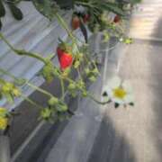 ヒメ日記 2026/01/14 17:55 投稿 こと 大高・大府市・東海市ちゃんこ