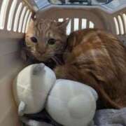 ヒメ日記 2026/01/17 10:43 投稿 こと 大高・大府市・東海市ちゃんこ