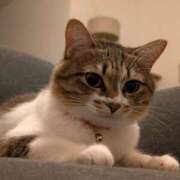 ヒメ日記 2026/01/23 00:53 投稿 こと 大高・大府市・東海市ちゃんこ