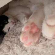 ヒメ日記 2026/01/27 01:43 投稿 こと 大高・大府市・東海市ちゃんこ